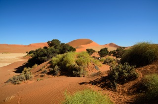  Namibia 2015, Uwe Ginsberg